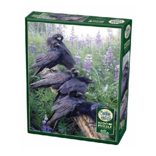 RAVEN RENDEZVOUS (1000 PEZZI)